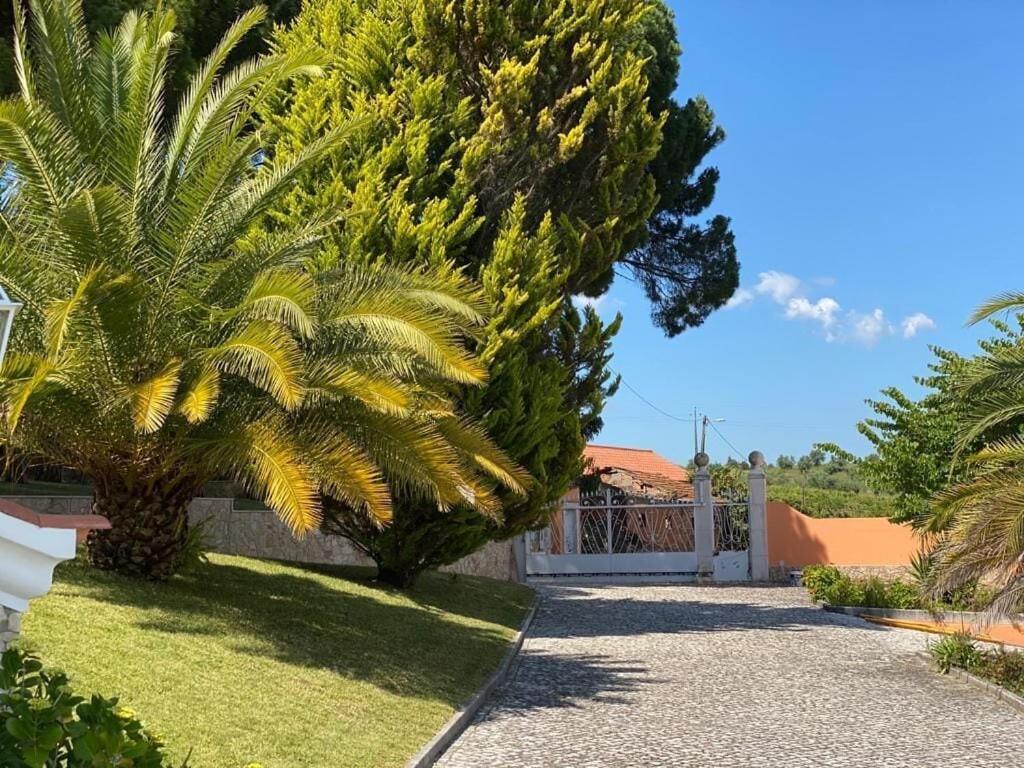 Quinta Do Alto Dos Pinheiros Villa Sao Joao da Ribeira Bagian luar foto