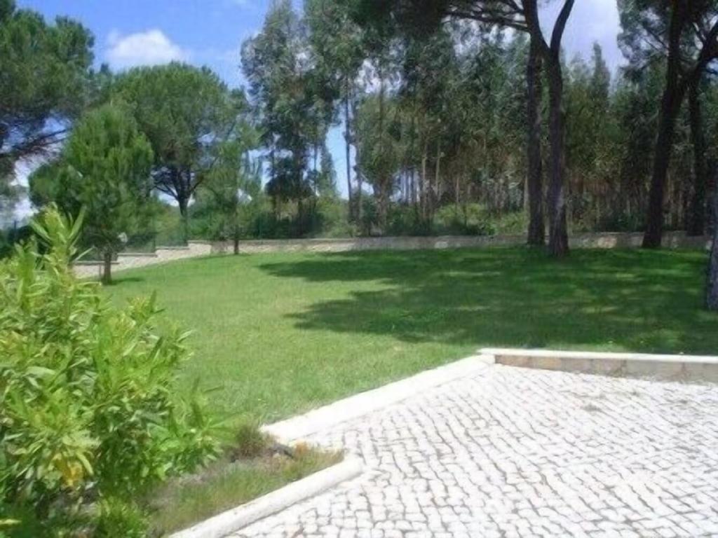 Quinta Do Alto Dos Pinheiros Villa Sao Joao da Ribeira Bagian luar foto