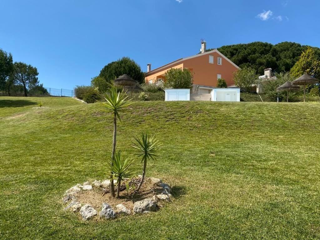 Quinta Do Alto Dos Pinheiros Villa Sao Joao da Ribeira Bagian luar foto